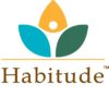 Habitude Addiction Program